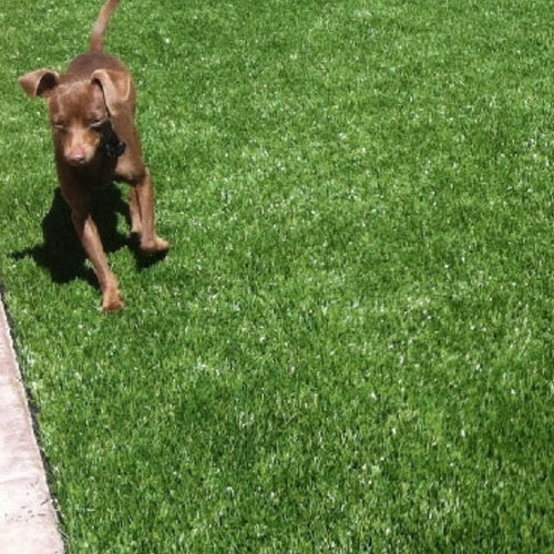Artificial grass 20mm 25mm - artificial,