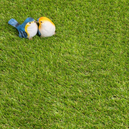 Artificial grass 30mm 5m - artificial,
